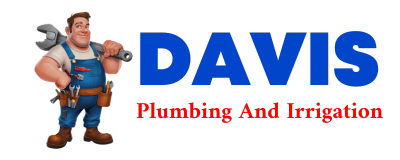 Trusted plumber in ANSELMO